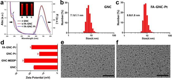 Theranostics Image