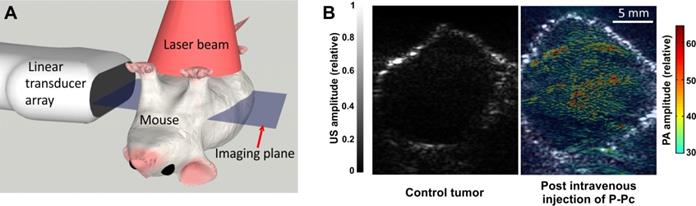 Theranostics Image