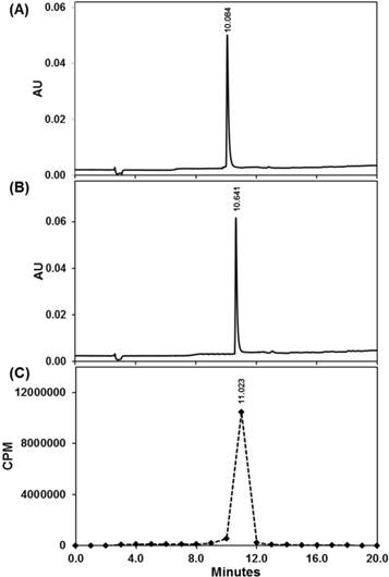 Theranostics Image