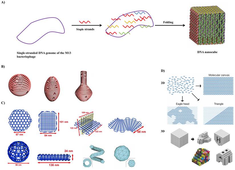 Theranostics Image