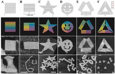 Theranostics Image