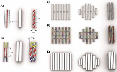 Theranostics Image