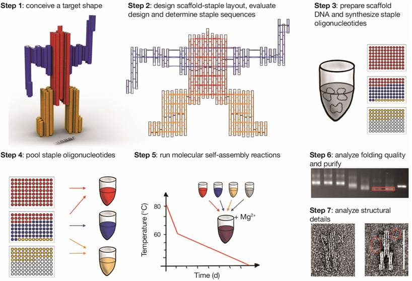 Theranostics Image