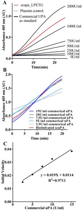 Theranostics Image