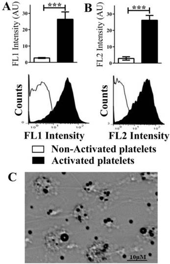 Theranostics Image