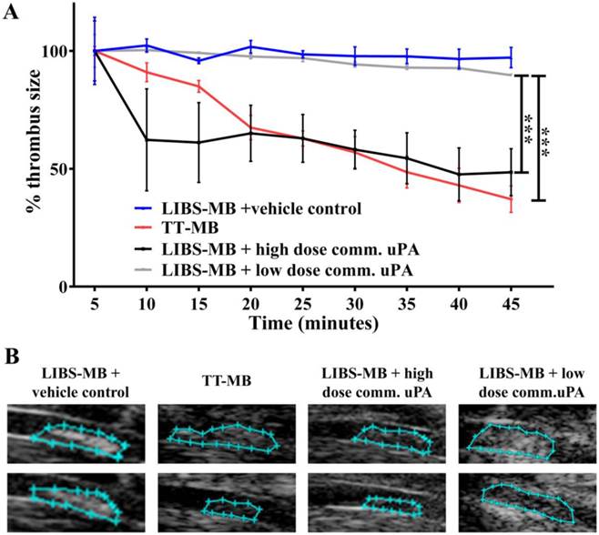 Theranostics Image