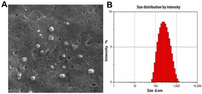 Theranostics Image