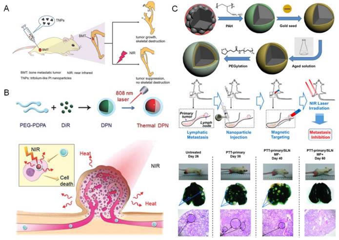 Theranostics Image