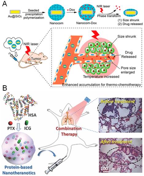 Theranostics Image