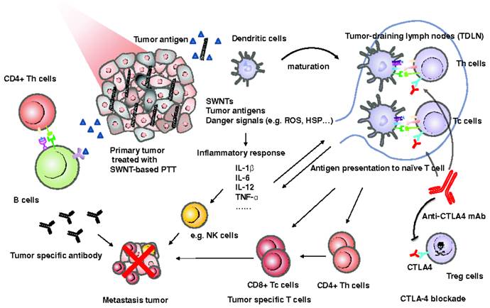 Theranostics Image