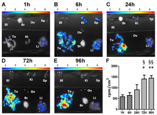 Theranostics Image