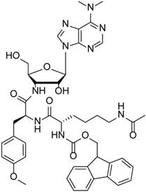 Theranostics Image