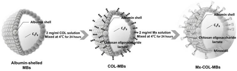 Theranostics Image