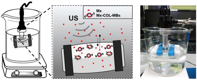 Theranostics Image