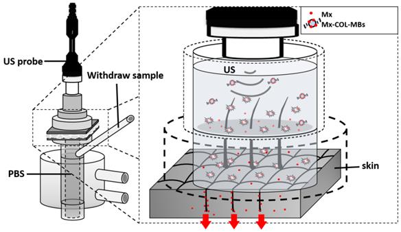 Theranostics Image