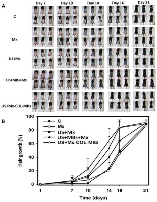 Theranostics Image