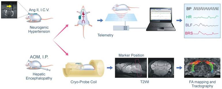 Theranostics Image