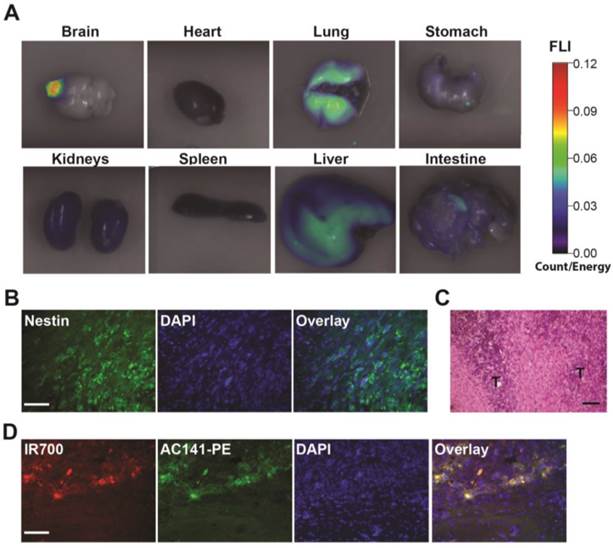 Theranostics Image