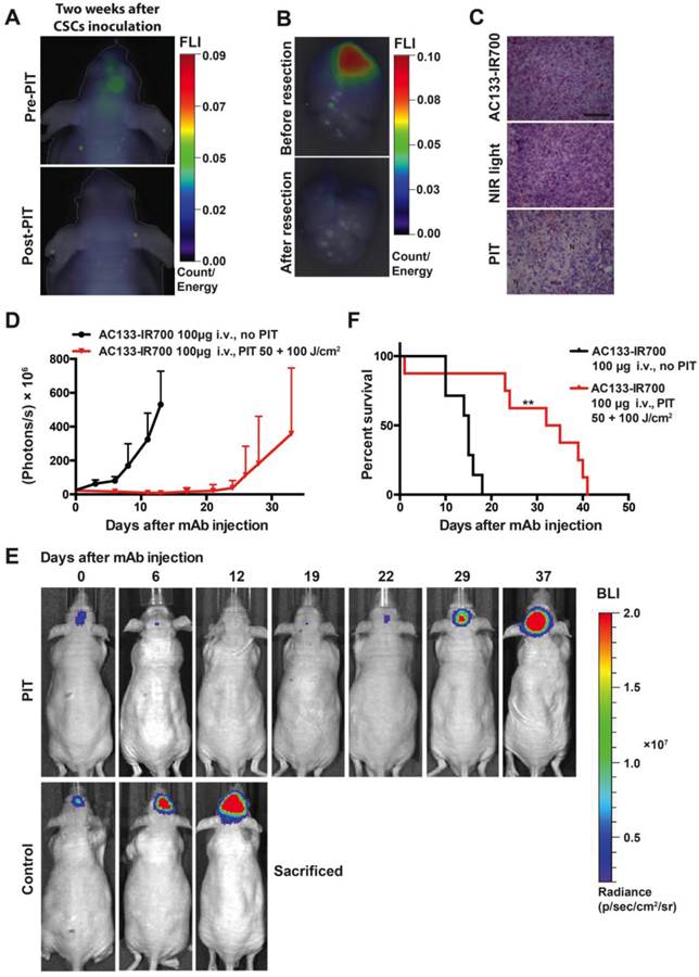 Theranostics Image