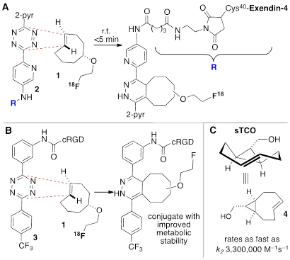 Theranostics Image