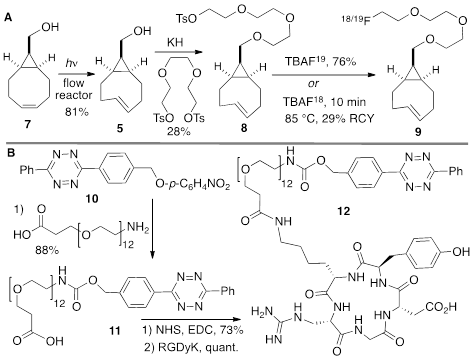 Theranostics Image