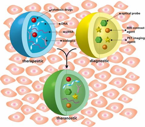 Theranostics Image