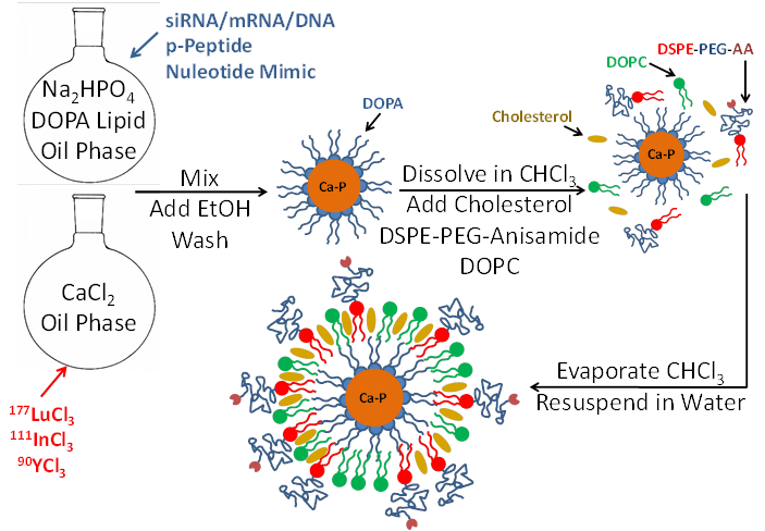 Theranostics Image