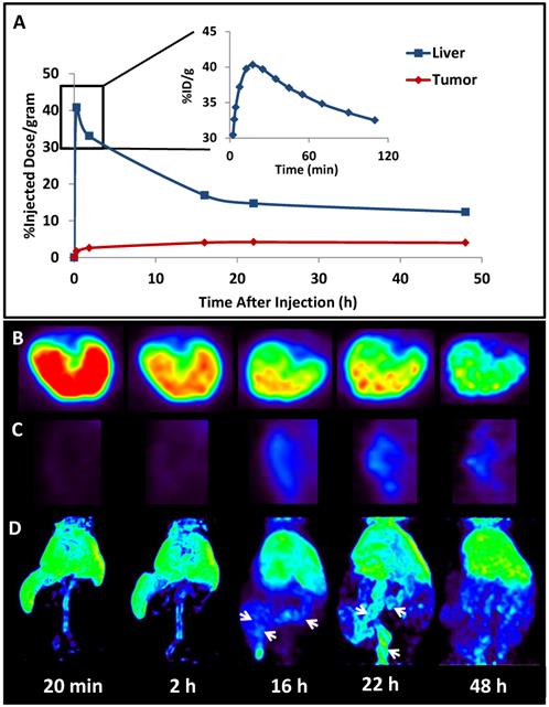 Theranostics Image