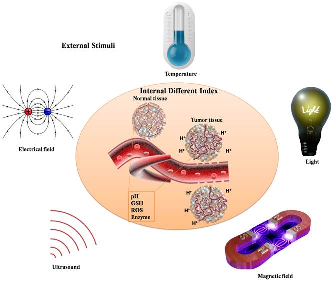 Theranostics Image