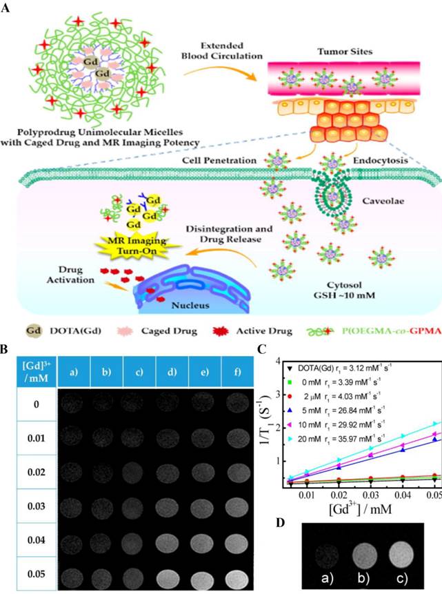 Theranostics Image