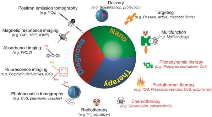 Theranostics Image