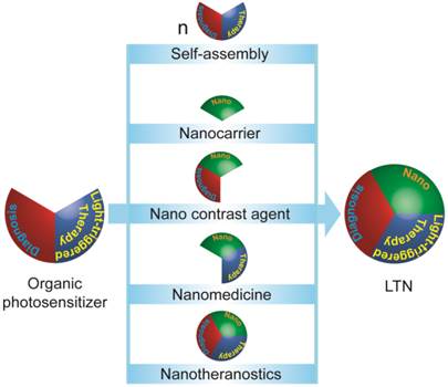 Theranostics Image