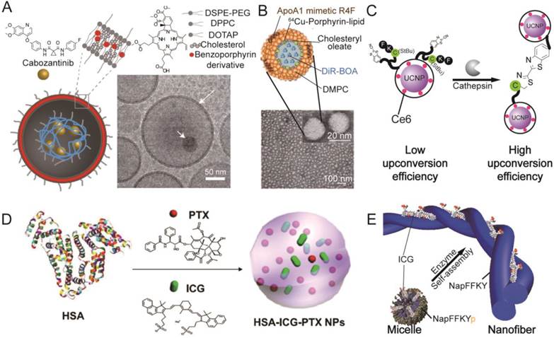 Theranostics Image