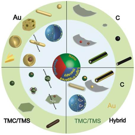 Theranostics Image