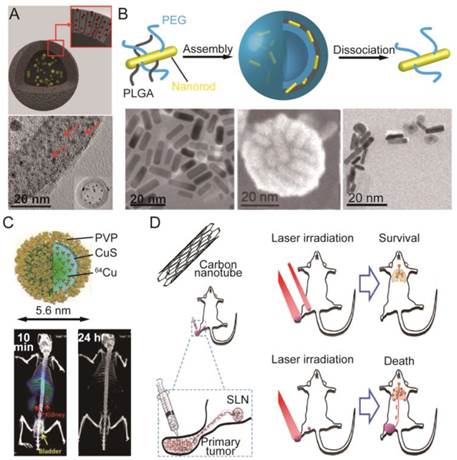 Theranostics Image