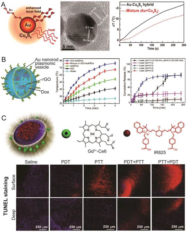 Theranostics Image