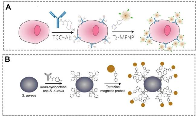 Theranostics Image