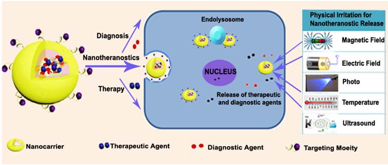 Theranostics Image