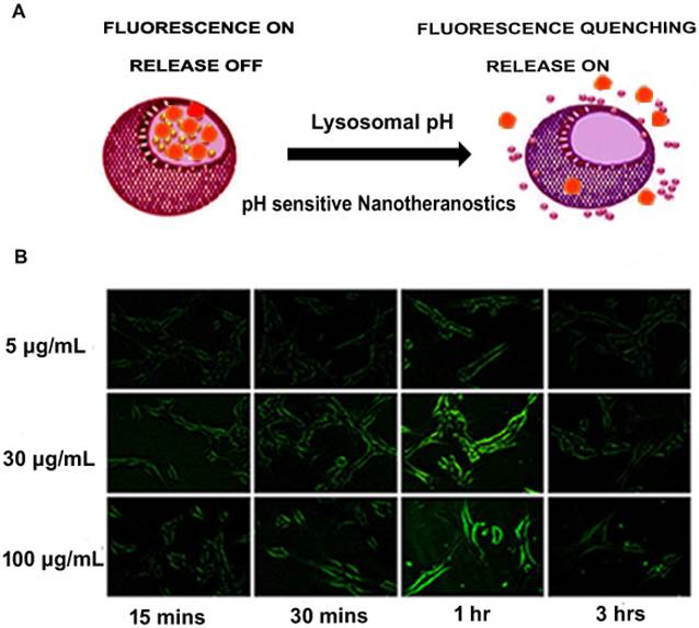 Theranostics Image