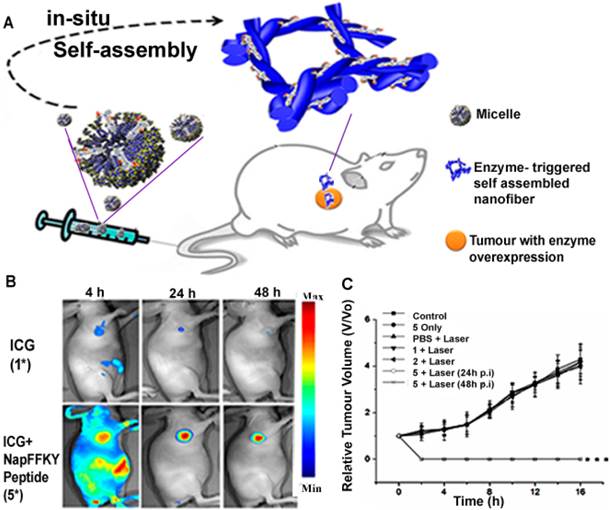 Theranostics Image