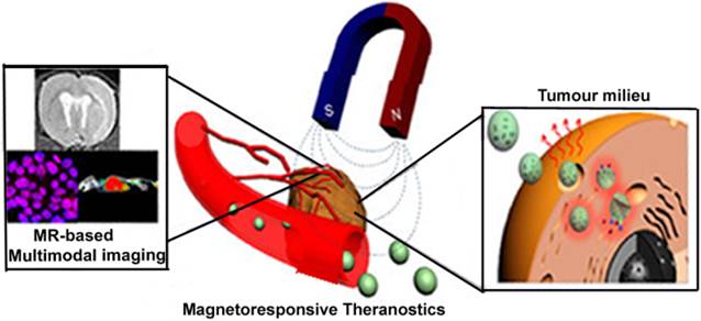 Theranostics Image