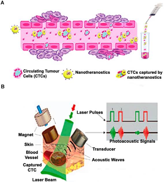 Theranostics Image