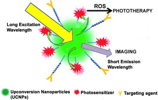 Theranostics Image