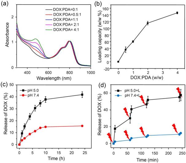 Theranostics Image