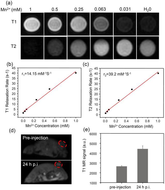 Theranostics Image