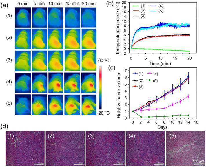 Theranostics Image