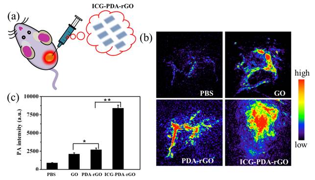 Theranostics Image