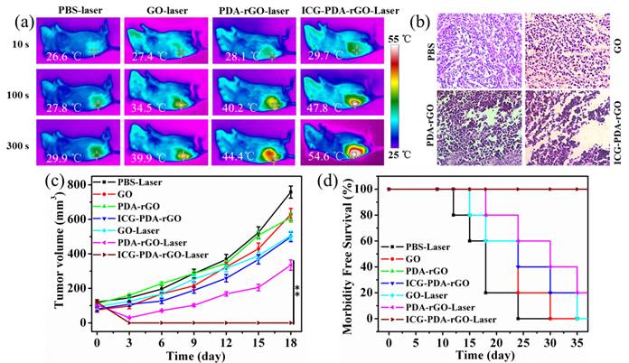 Theranostics Image