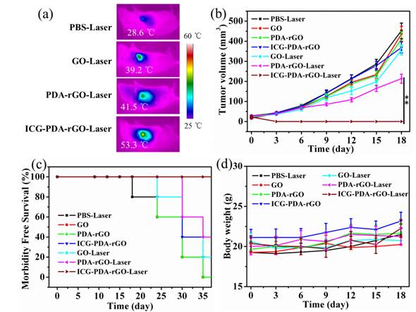 Theranostics Image