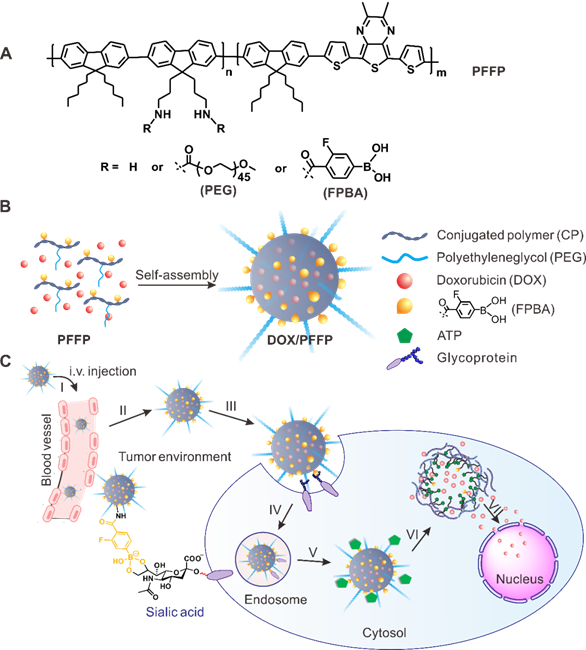 Theranostics Image